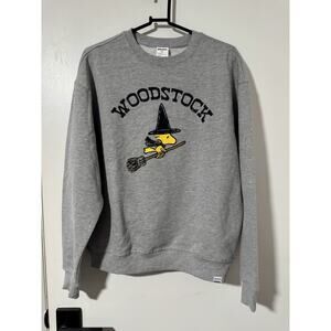 RSQ x Peanuts Woodstock Sweater Adult Sz XS Gray Woodstock Crew Neck LS